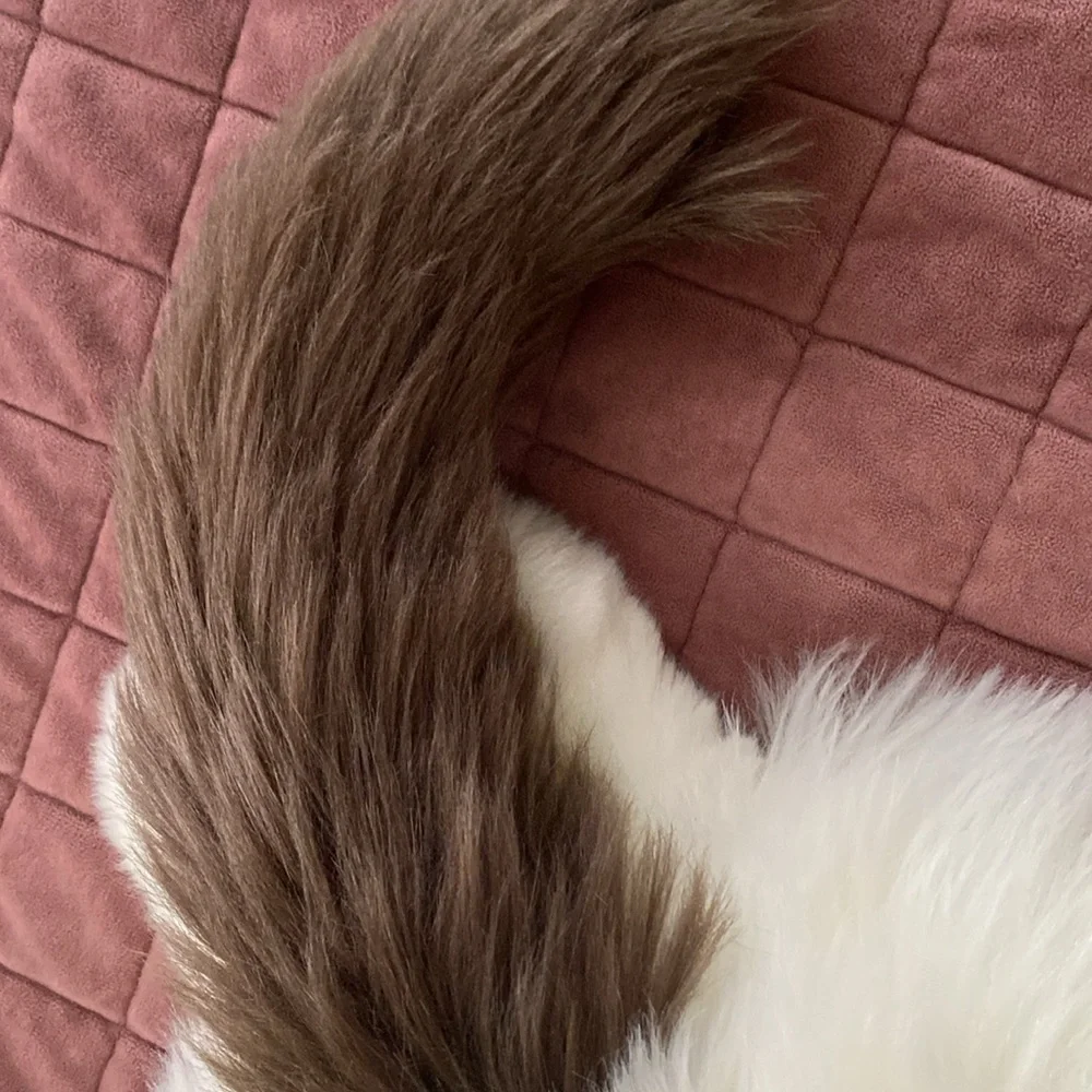 Chonger white cat emotional stuffed animal